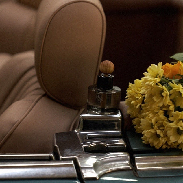 Premium Car Diffuser